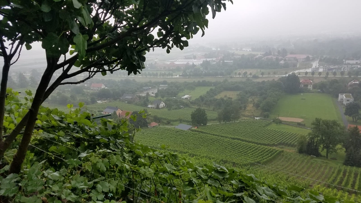 Weinberg