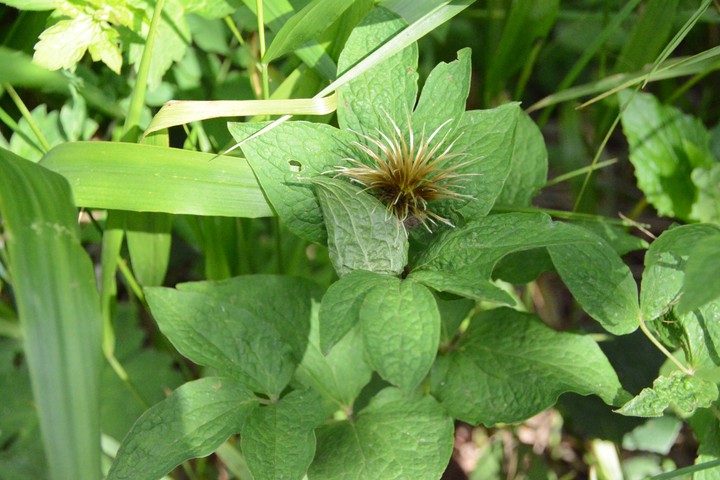 산이미지