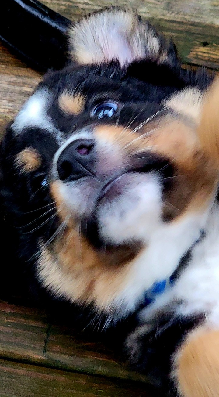 .