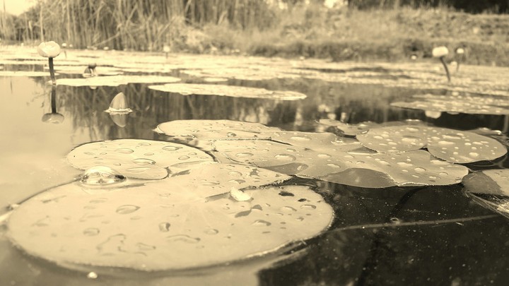 spring...