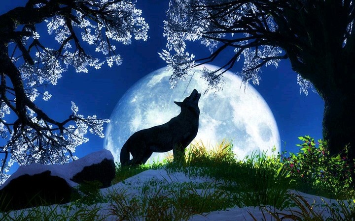 good night howl
