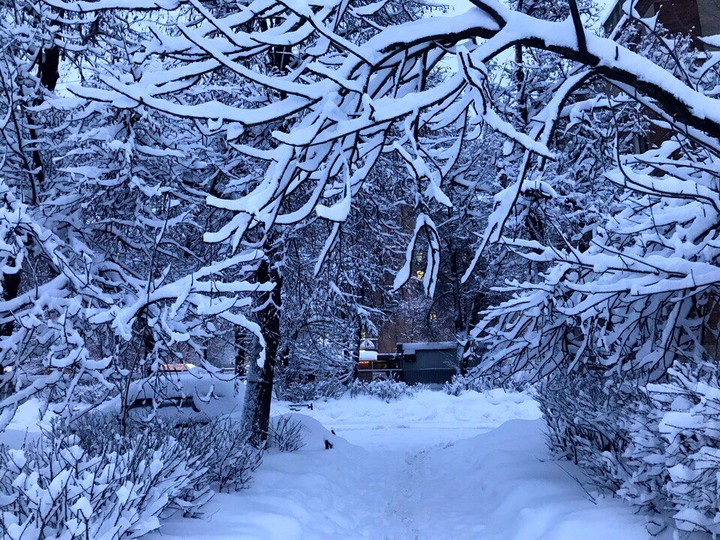 Beautiful winter