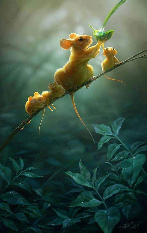 Mouse