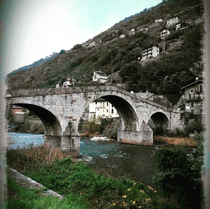 Ponte