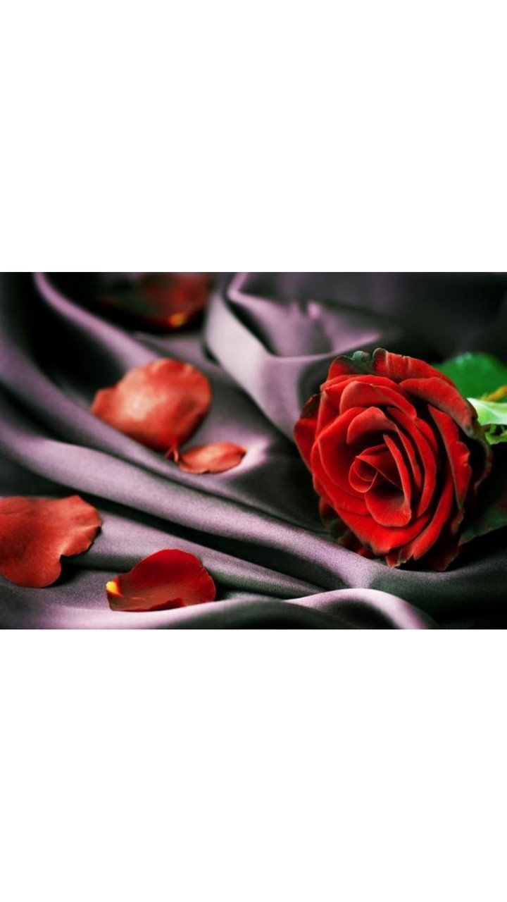 به رنگگگ عشق