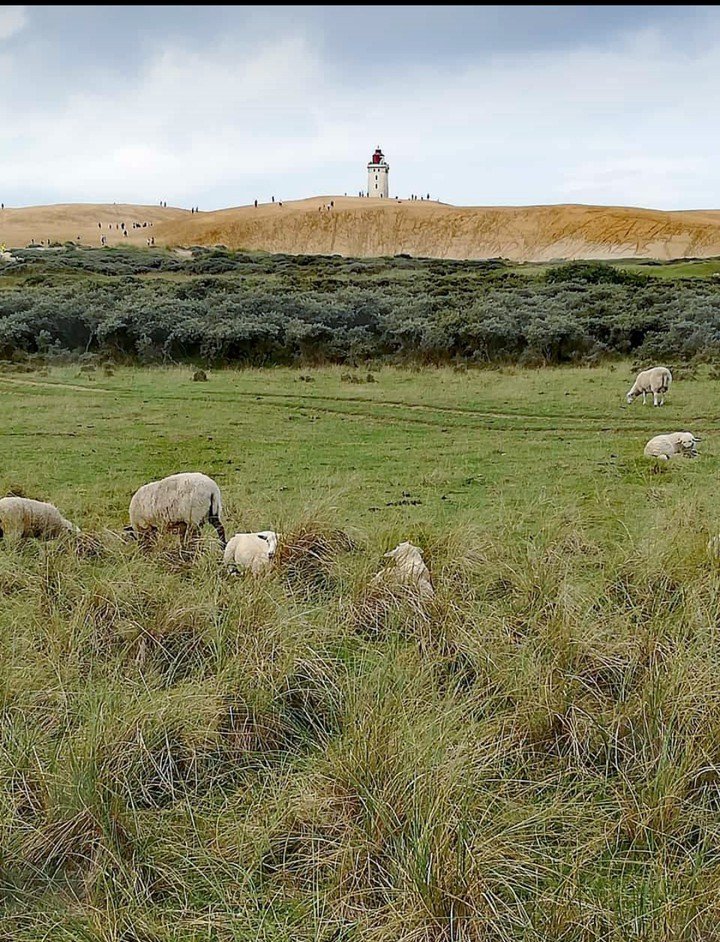 Leuchtturm