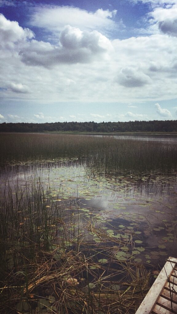 Lake in Poland