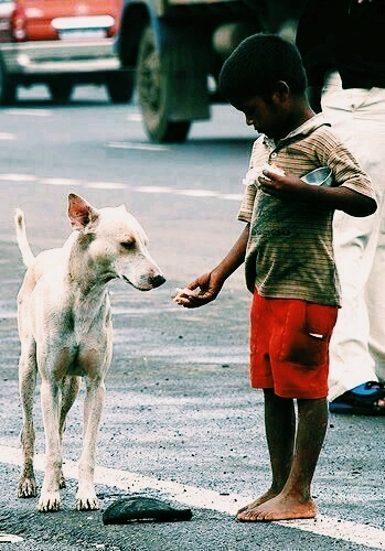 Kindness