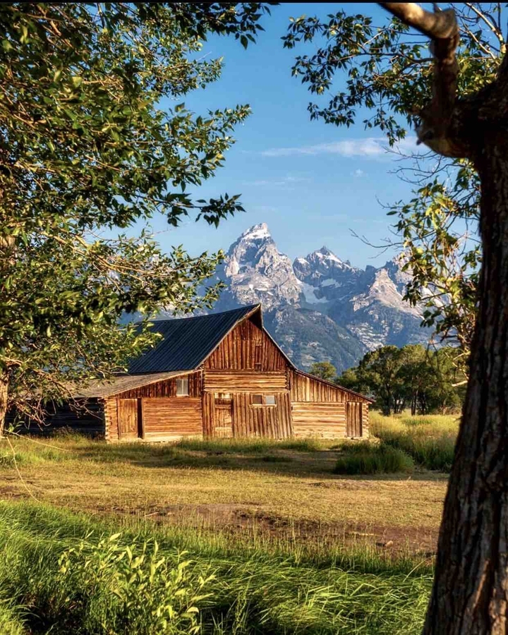 Mormon Row landscape