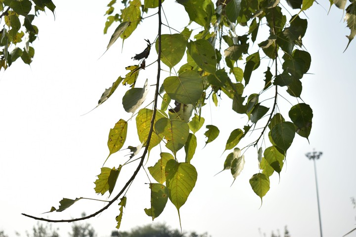 www.facebook.com/mi.photographs15