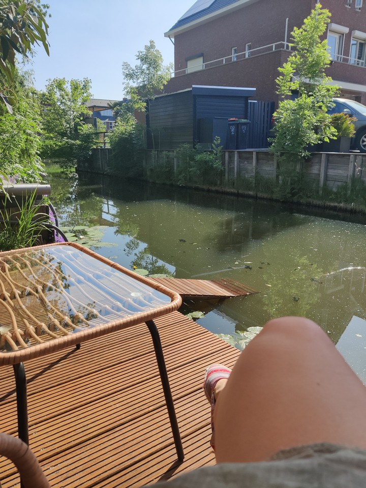 garden day