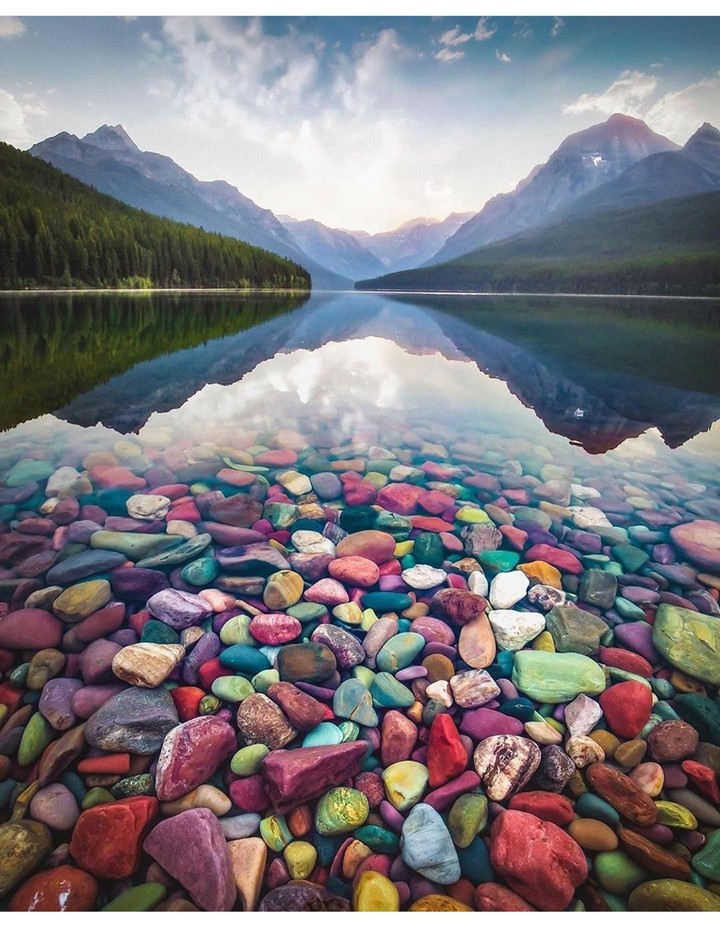 красота