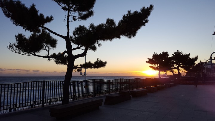 Sunrise