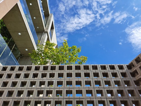 обои daylighting, Apartment