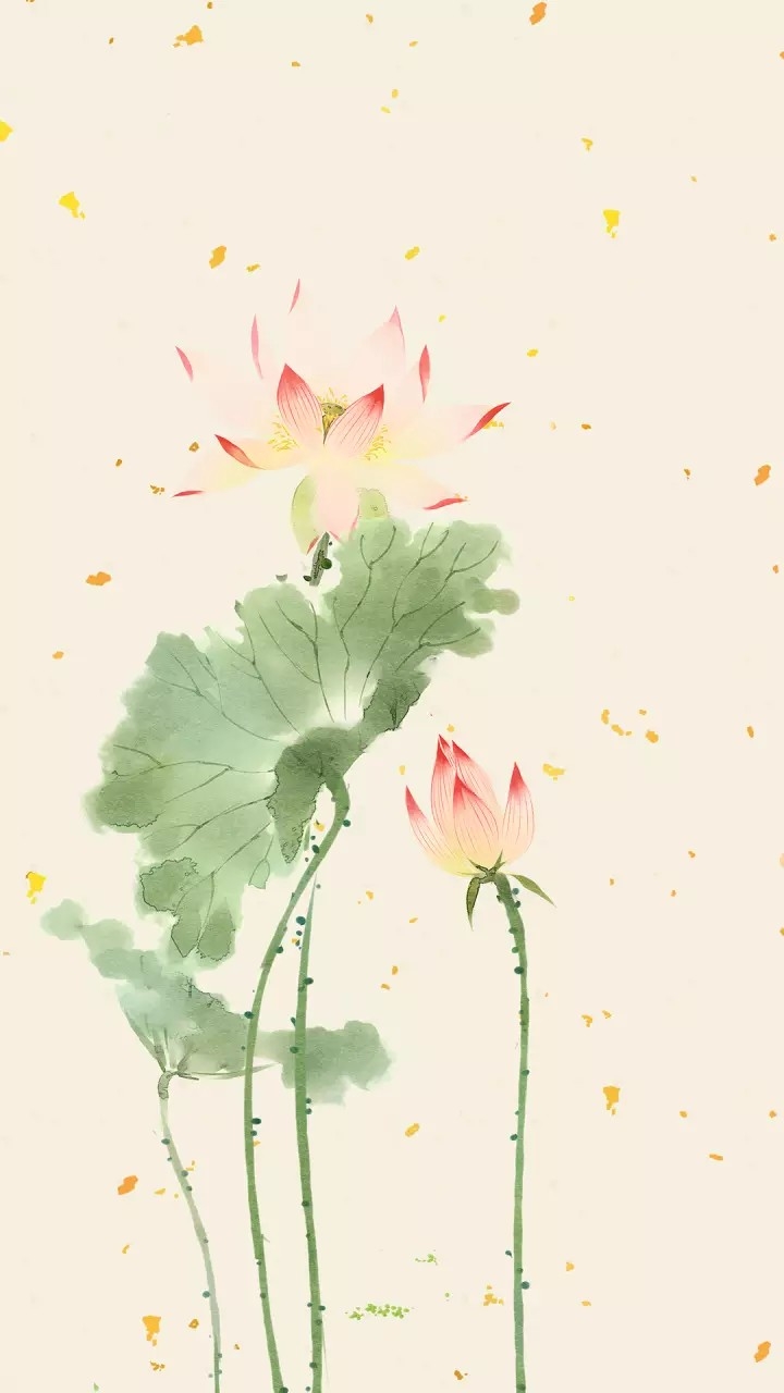 lotus painting....