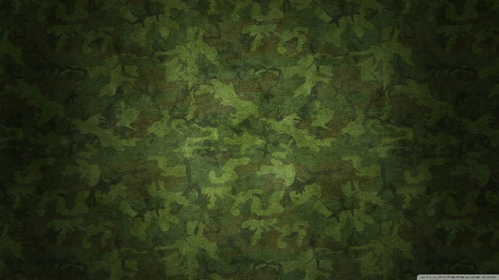 camouflage military