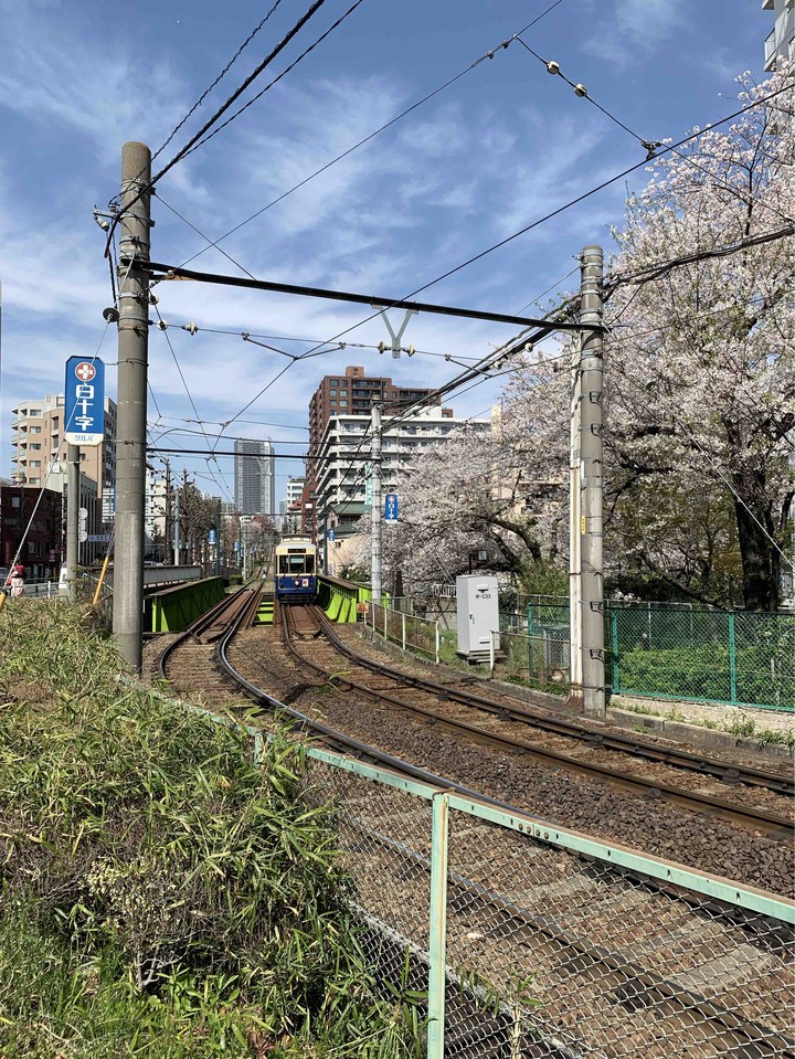 Tokyo Sakura Tram