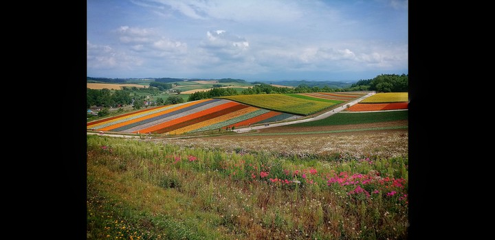 꽃밭 flower garden