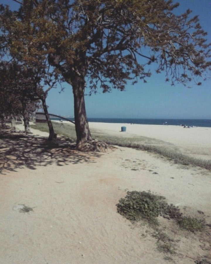 El mar