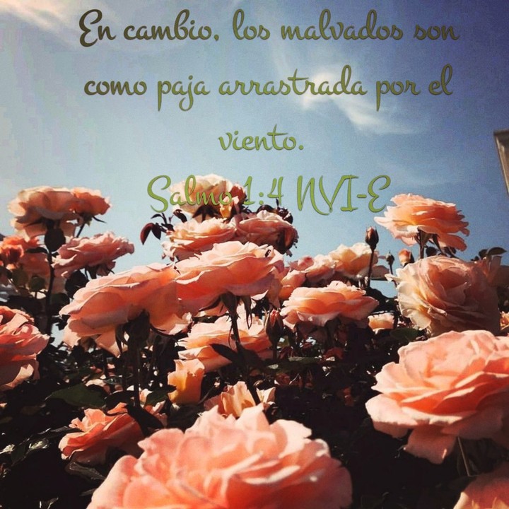 Palabra de Dios