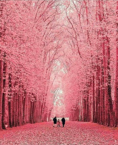 beautiful