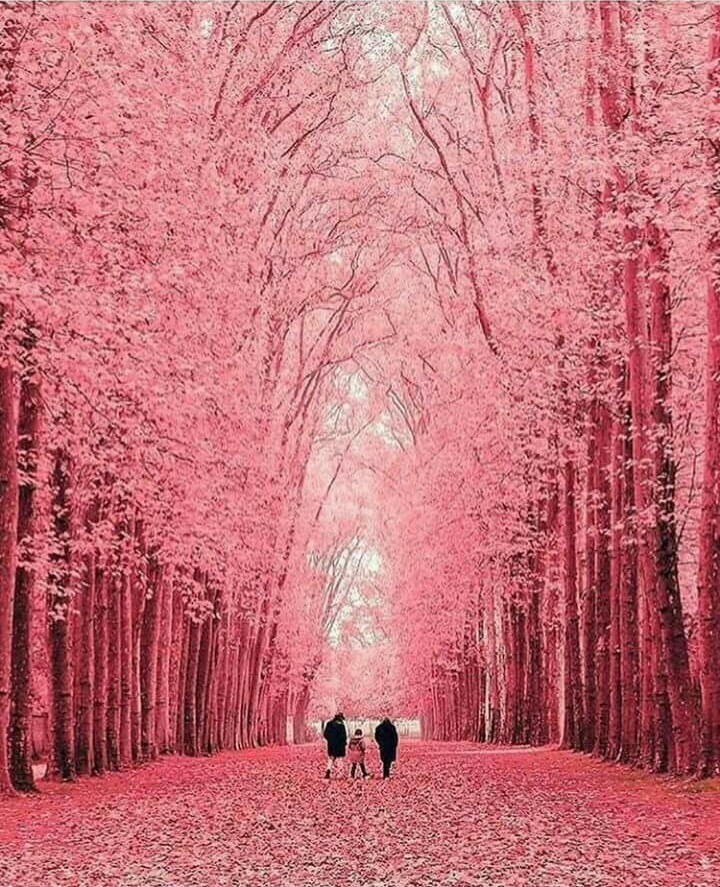 beautiful