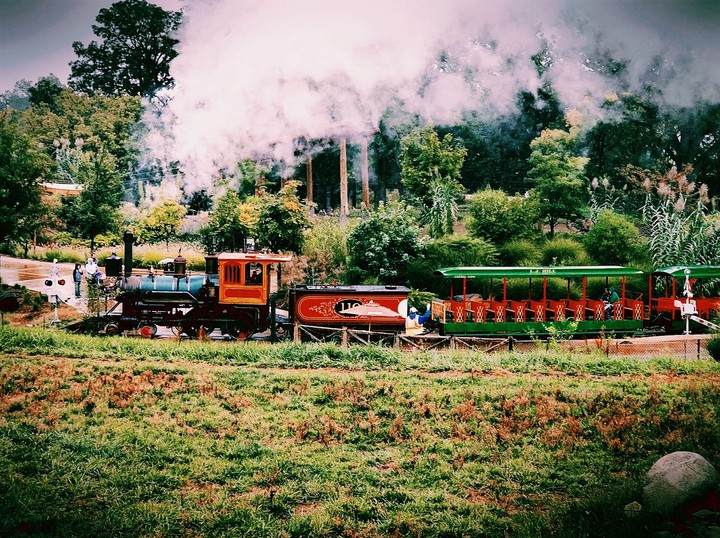 Train