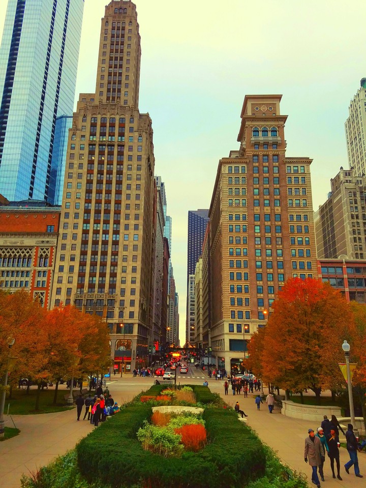 Milineal Park, Chicago