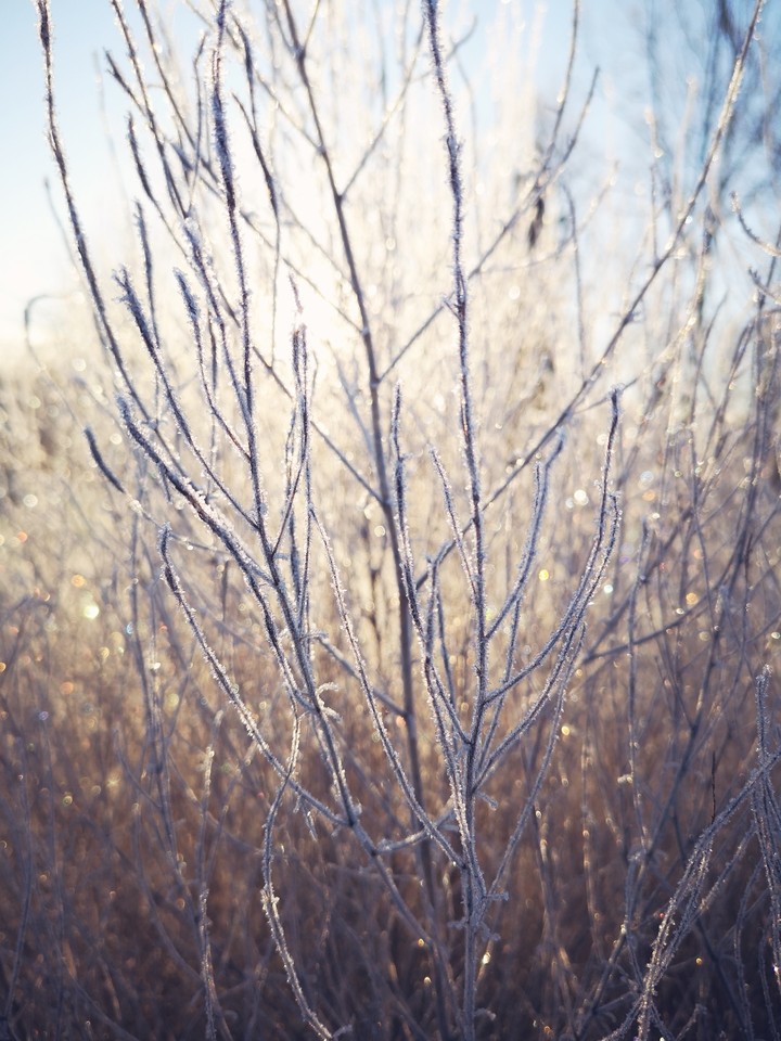 winter