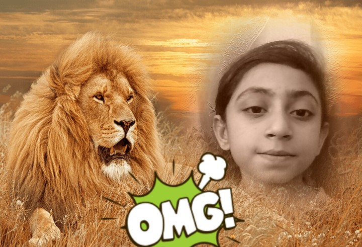 Lion wallpaper