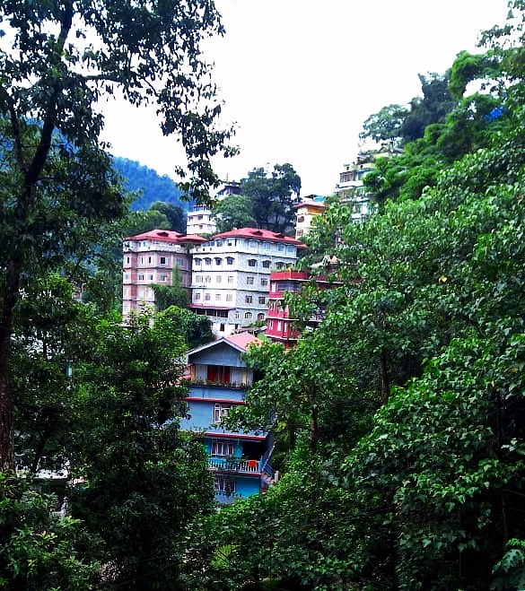 greenery