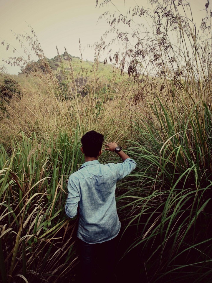search