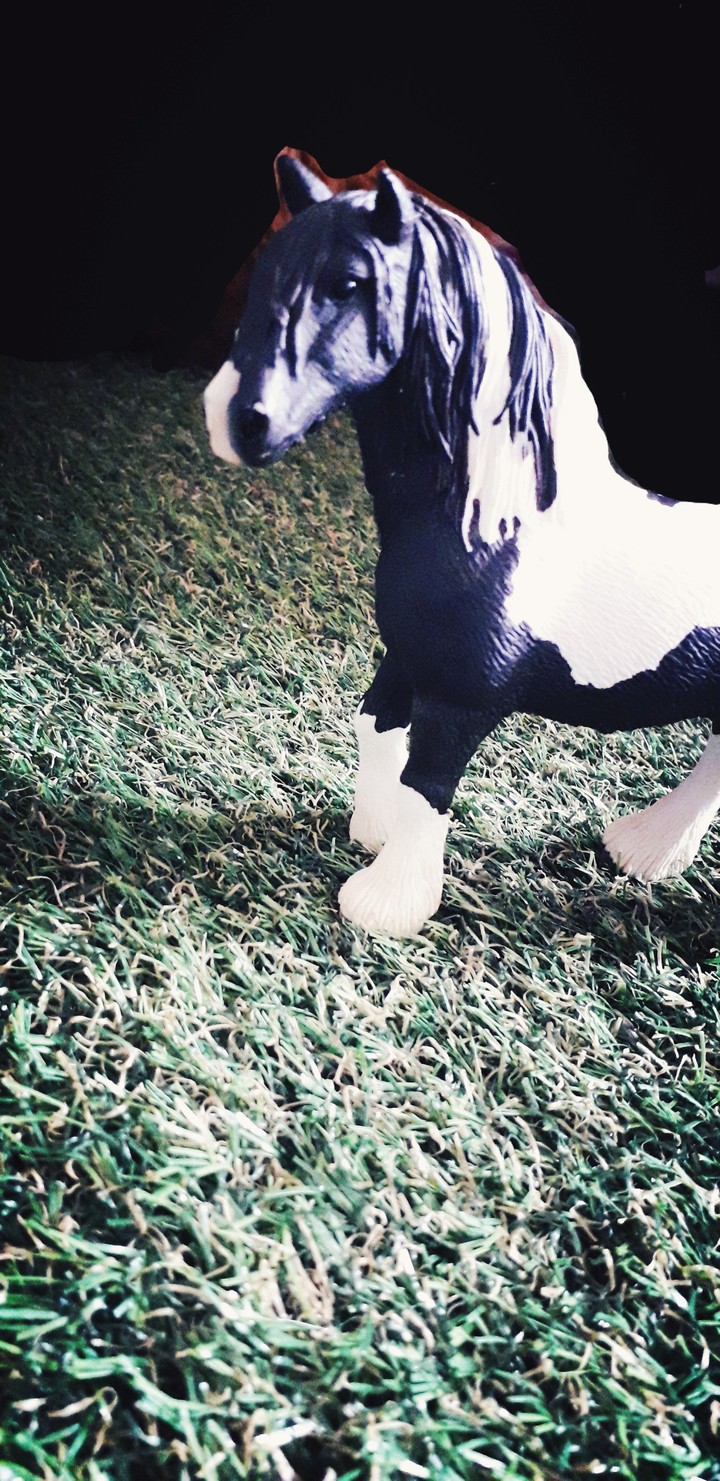 Figurine equine