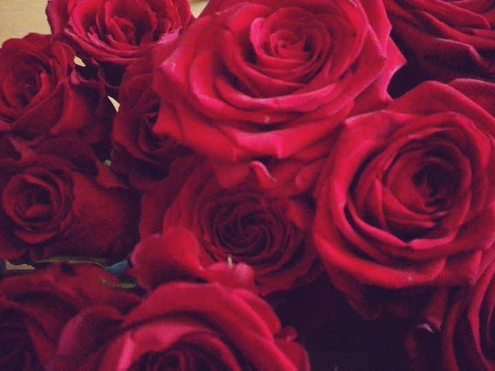 Roses