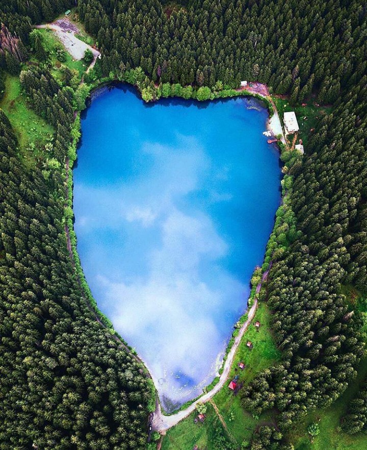 Artvin/Şavşat/Turkey