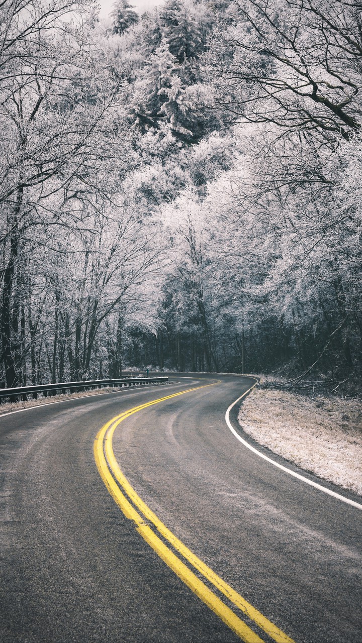 Road