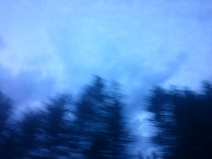 лес