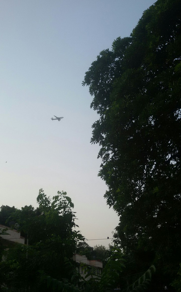 flight