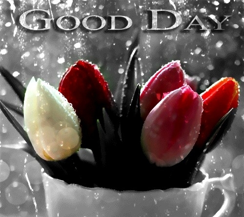 Good day for all