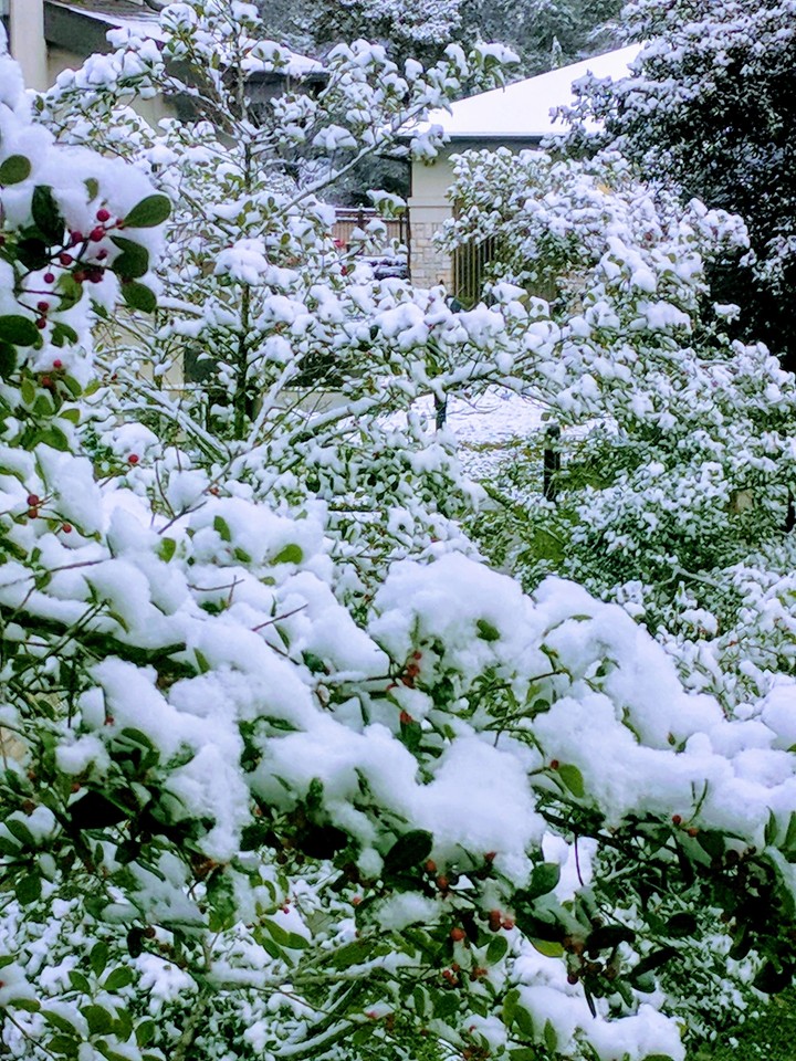 Winter in Texas