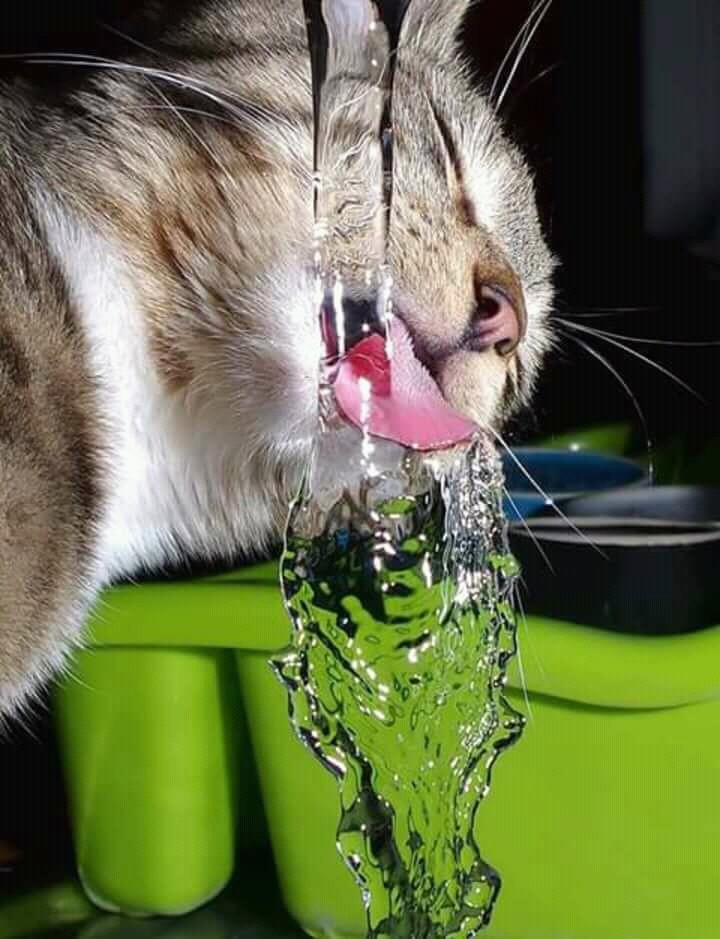 cute