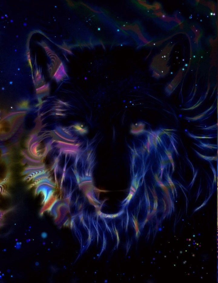 space Wolf