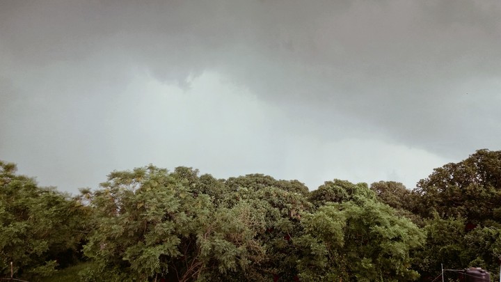 tree's and clouds