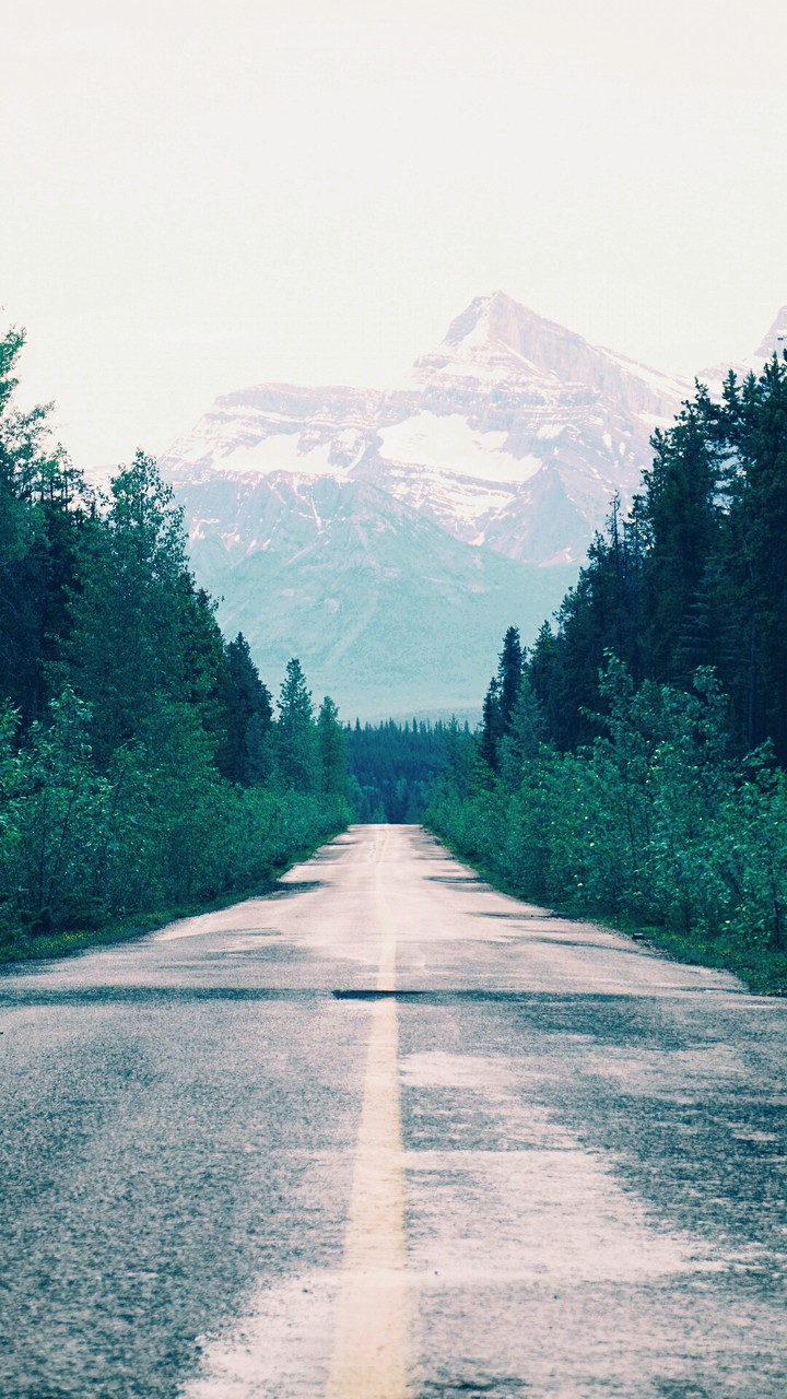 roads