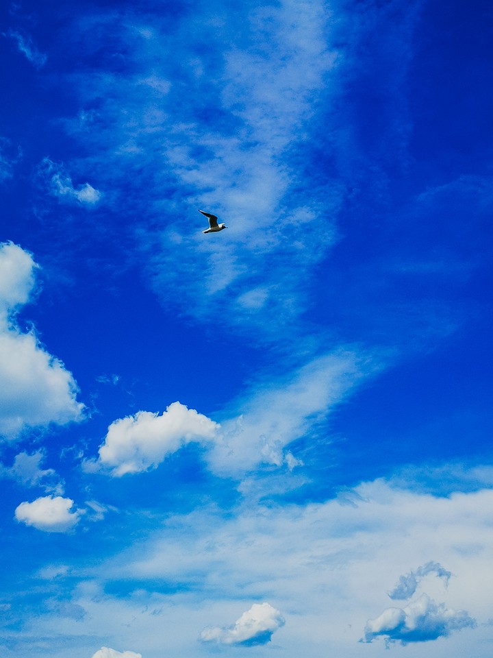 Sky in Siberia