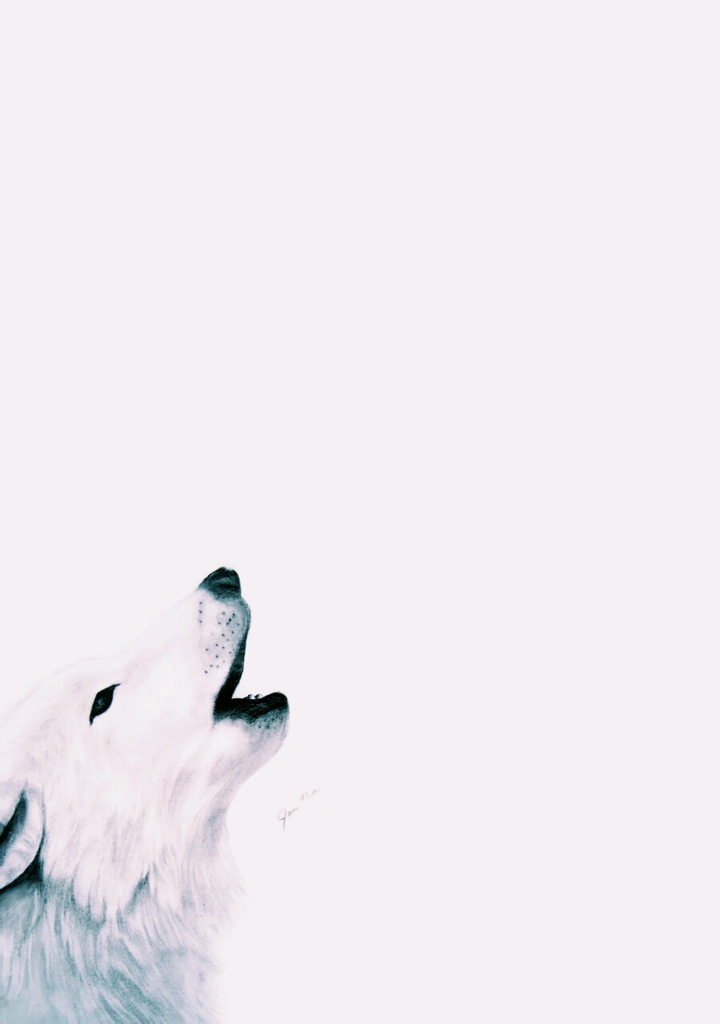 snow wolf