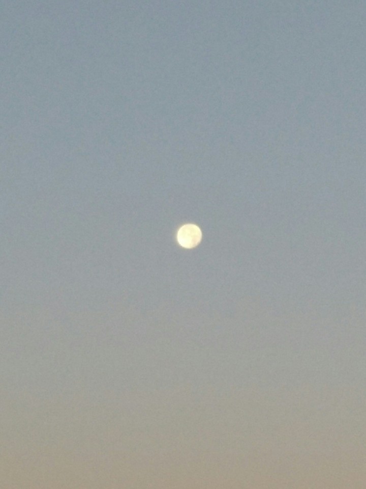 슈퍼문?¿ moon