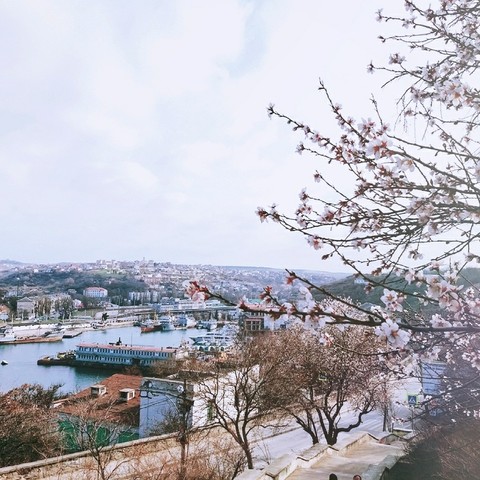 spring