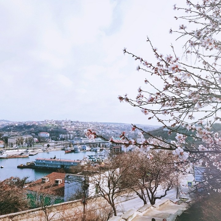spring