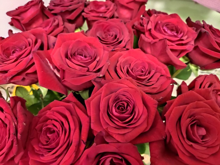 rose